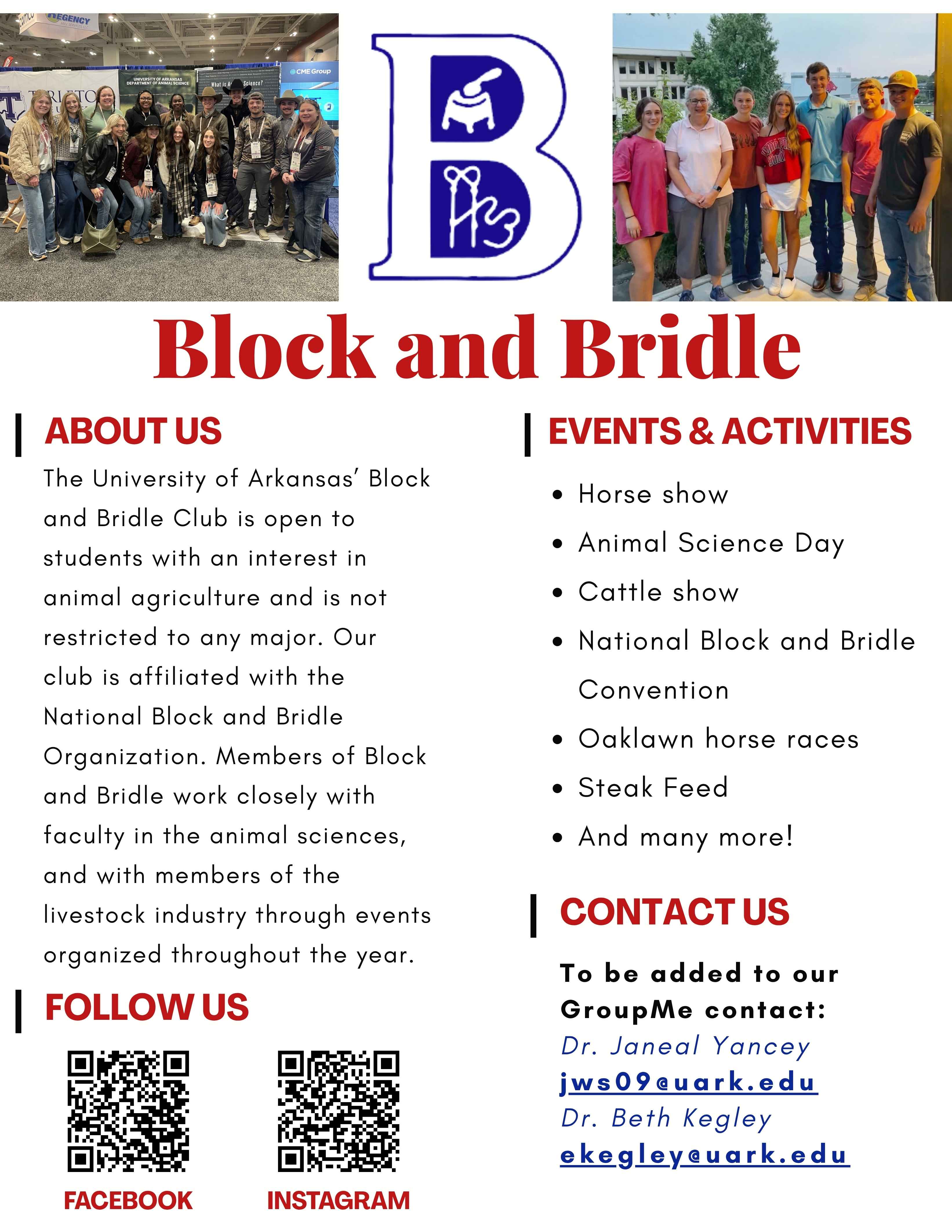 Block and Bridle Flyer