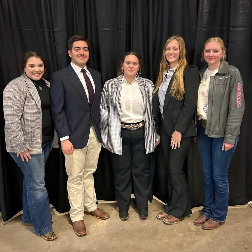 Equine Judging 2026