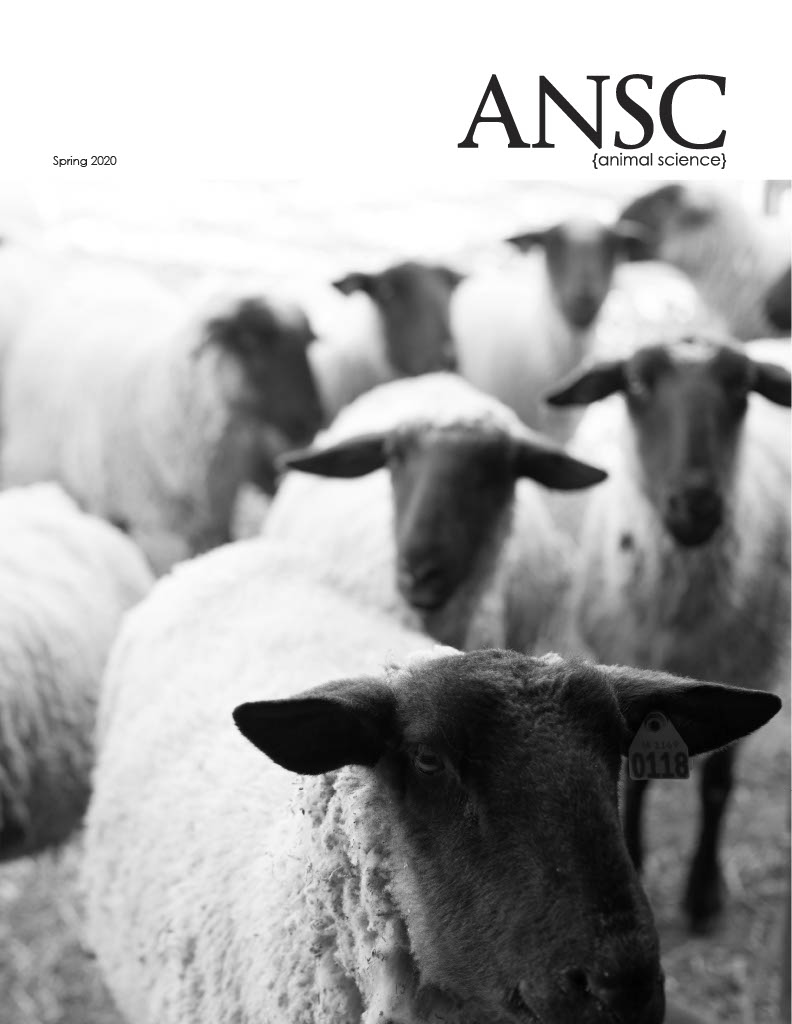 Spring 2020 Animal Science Fall Newsletter Cover