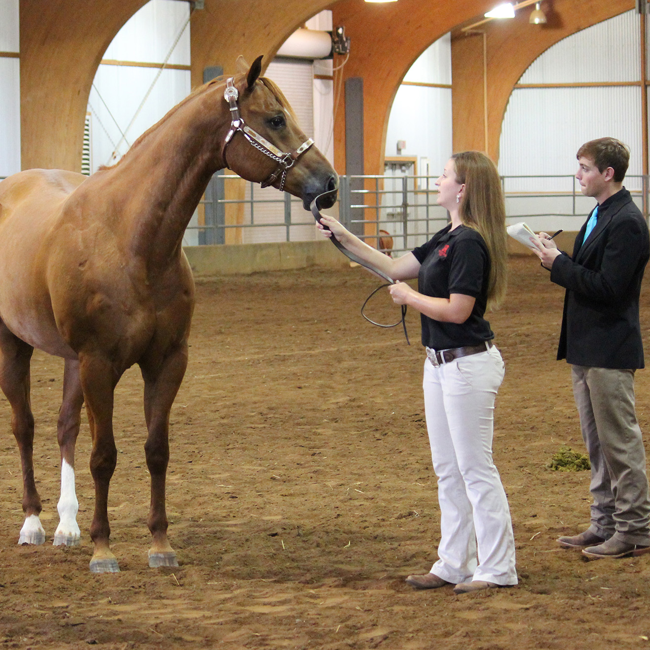Two students and their horse prepare for judging
